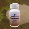 Lions Mane extract