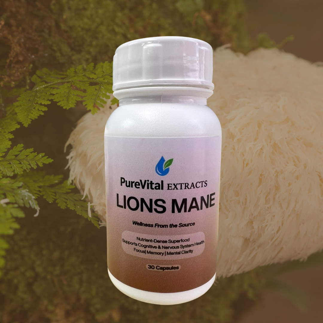 Lions Mane extract